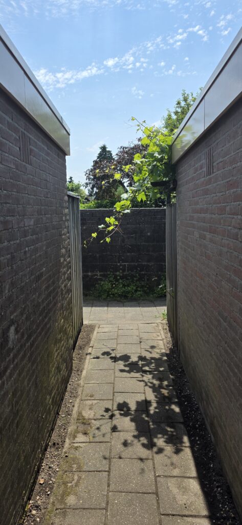 Tuin Onderhoud